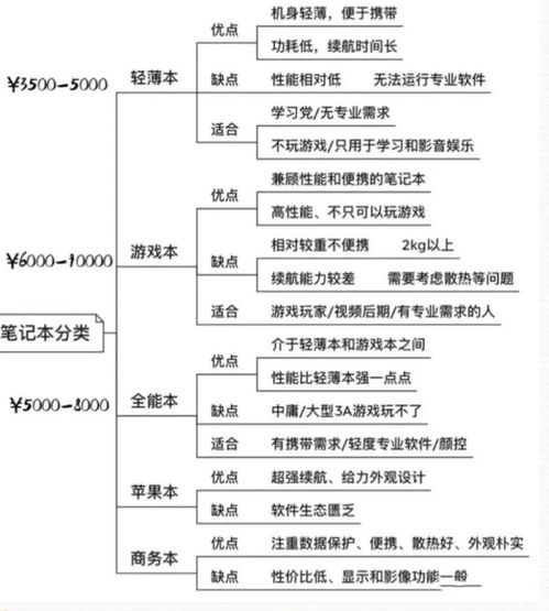 如何选择适合自己的电脑，性能、预算与需求的完美平衡