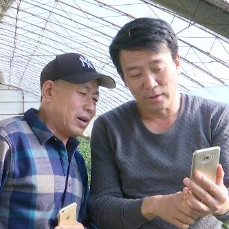 揭秘真相，怎样远程查看他人的微信聊天记录——四大方法深度解析