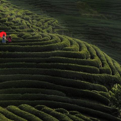 永福装修设计加盟，开启您的创业之旅