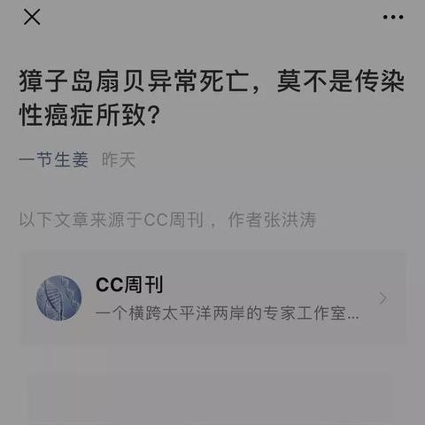 微信小程序开发，打造无缝连接用户的产品体验