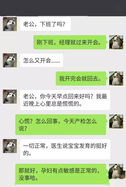 关于如何偷看对方聊天记录的探讨——警惕违法犯罪行为