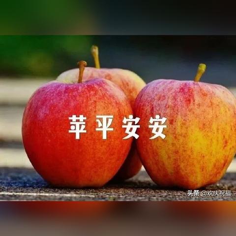 片片福加盟装修——打造温馨家园，共享美好生活