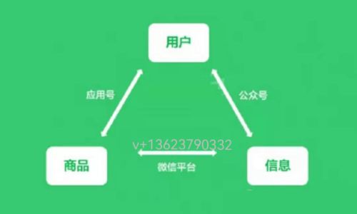 掌握微信小程序，高效使用指南