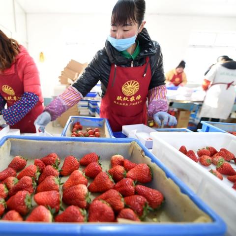 辽宁五金装盒机定制的市场需求与发展趋势