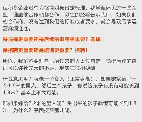 全面解析，打造高效除甲醛加盟方案的策略与执行