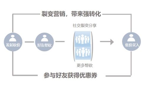 微信小程序商城裂变策略，如何有效利用社交力量驱动增长