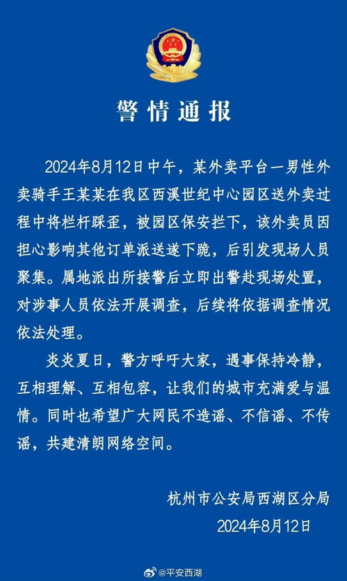 查酒店记录 警察,查酒店记录与警方职责，探究隐私权与公共安全的平衡