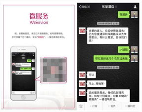 查开酒店记录app,查开酒店记录app，数字化时代下的住宿信息管理新工具