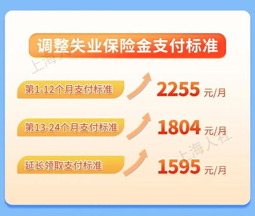 上海医保取现的合法途径与中介公司操作指南