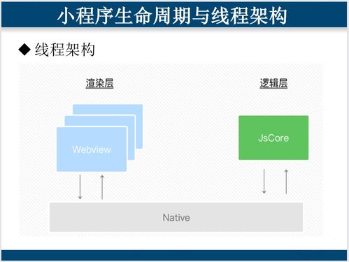 掌握微信小程序的删除技巧，从新手到专家