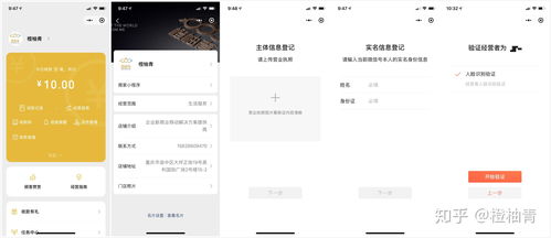 微信店铺小程序的分类指南，全面解析与实用建议