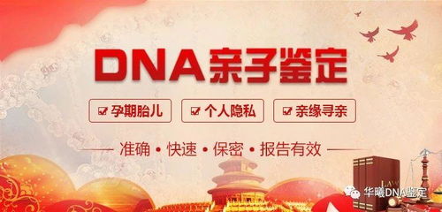 DNA的奥秘——配电脑做亲子鉴定