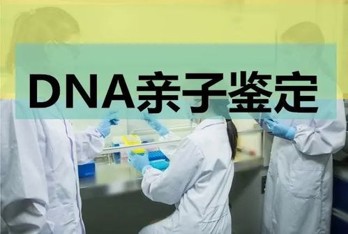 DNA的奥秘——配电脑做亲子鉴定