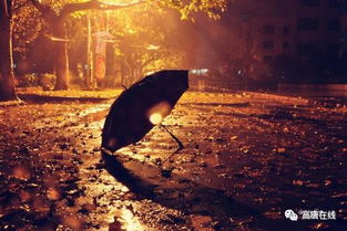 雨夜中的电脑情缘