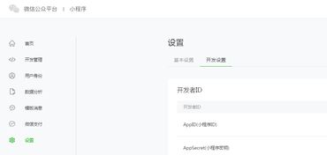 探索微信小程序，全方位查看与使用指南