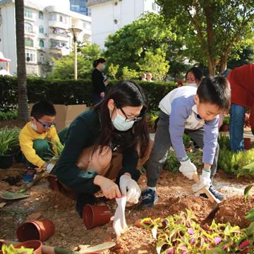 罗湖阳台装修加盟，开启您的阳台美化之旅