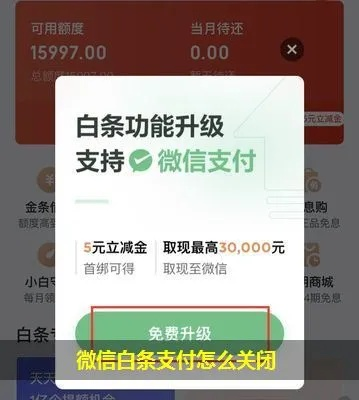 掌握微信小程序关闭白条的秘诀