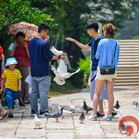 同城旅行提钱购额度怎么提现，分享超简单的变现手法