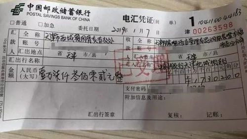 酒店不给查记录怎么办,面对酒店拒绝提供记录查询的困境，如何合理应对与寻求解决方案