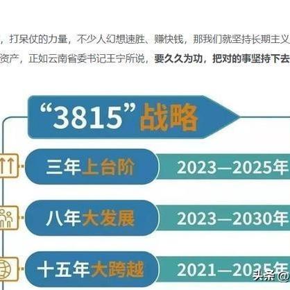 苹果专项额度分期怎么提现，2024多角度分析套现独家技巧