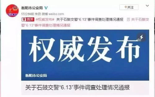 固安民警查酒店记录查询,固安民警查酒店记录查询，透明执法与公众安全的双重保障