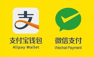 诚意赊额度怎么套出来，月付提现金使用