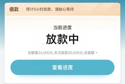 诚意赊额度怎么提现，2024最好的方法技巧在此