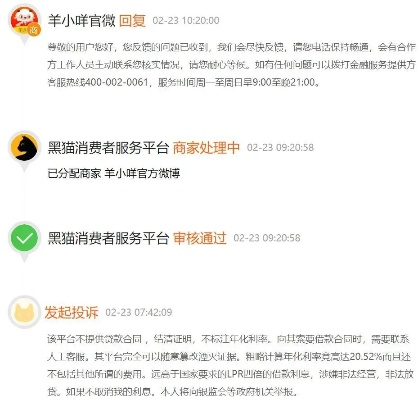 羊小咩 提现,羊小咩提现机制详解与用户指南