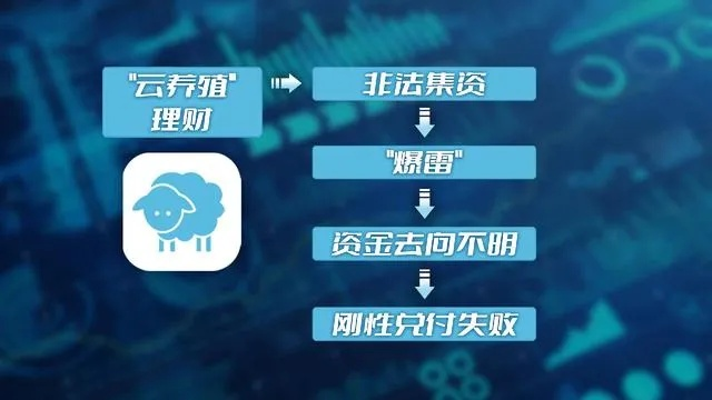 羊小咩套现视频,羊小咩套现视频分析报告