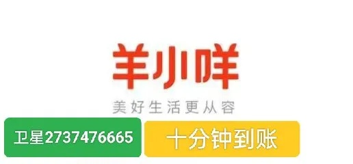 羊小咩便荔卡包1000额度提现,羊小咩便荔卡包1000额度提现攻略