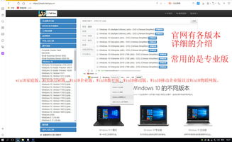 如何选择适合的电脑操作系统以提升性能