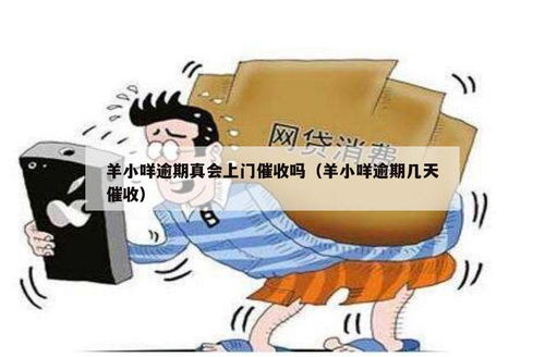 羊小咩套现收点位靠谱吗,羊小咩套现收点位分析与评估