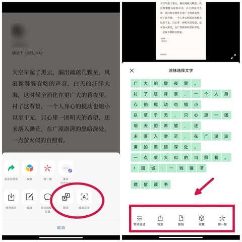 微信主页小程序隐藏技巧，全面指南