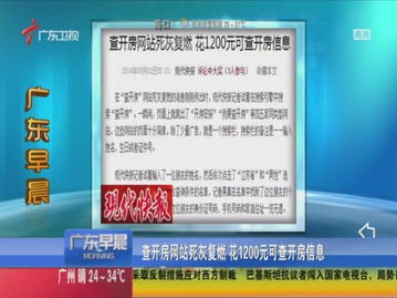 查开房记录网址是,揭秘网络隐私泄露的源头——查开房记录网址