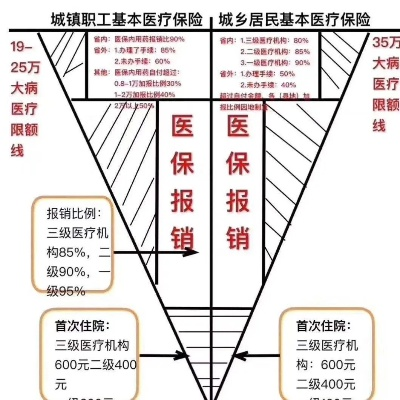 拼多多医保取现额度，探索与实践