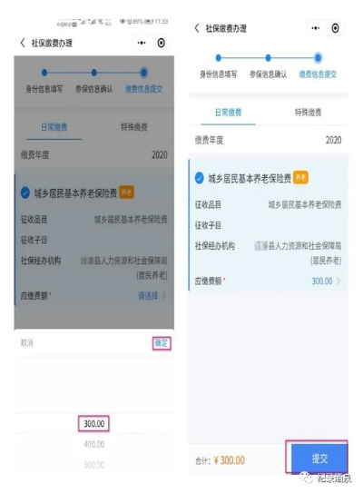 掌握社保补缴秘籍，如何在怎么补交社保微信小程序中轻松操作