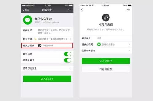 微信搜索好友，探索小程序的搜索功能与实用指南