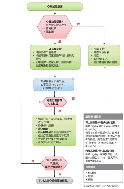 沈阳医保取现流程指南