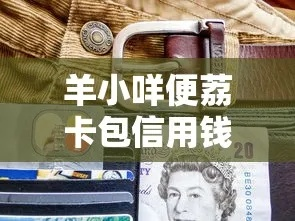 羊小咩便荔卡包信用钱包不能提现,羊小咩便荔卡包信用钱包提现困境解析