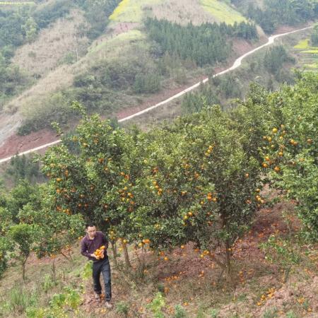 重庆的电脑制造基地——探索当地电脑产业的现状与未来