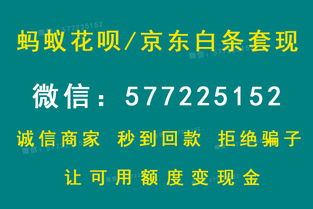 羊小咩找商家套现靠谱吗,羊小咩找商家套现，风险与机遇并存