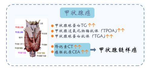 羊小咩便荔卡包提现慢,羊小咩便荔卡包提现慢问题分析与解决建议