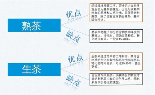 澳大利亚电脑价格指南，全面分析与实用建议