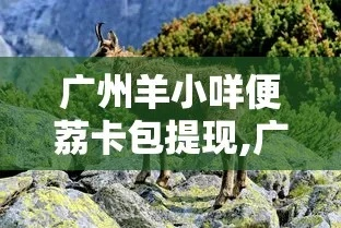 羊小咩便荔卡包500额度提现,羊小咩便荔卡包500额度提现攻略