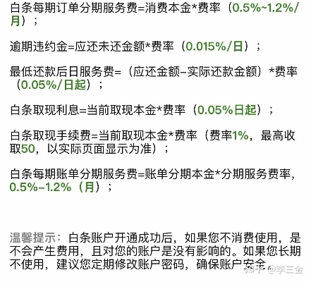 白条秒套出来一般多少钱一天,揭秘白条秒套流程与成本分析