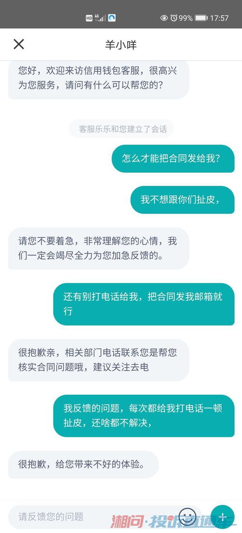 羊小咩便荔卡包借款怎么提现,羊小咩便荔卡包借款提现指南，步骤与注意事项全解析