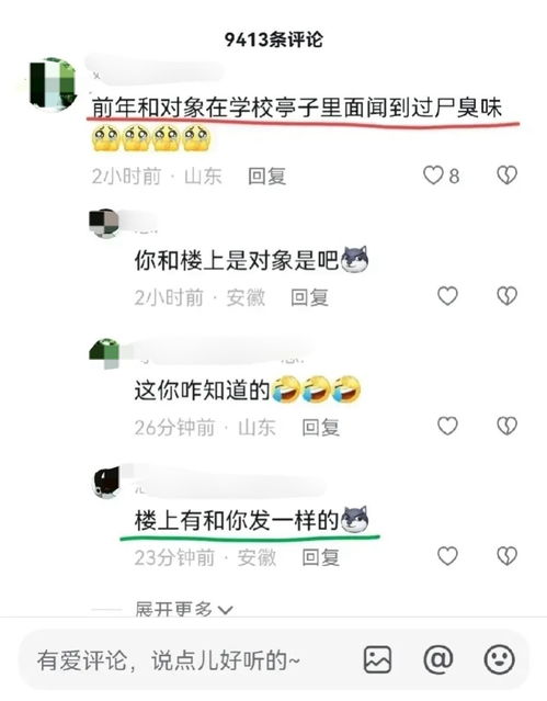 身份证查开房记录网址,身份证查开房记录的合法性与隐私保护