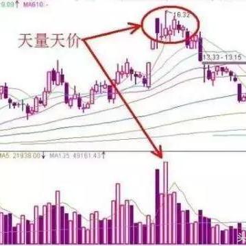 探索微信小程序的奥秘——如何找到你需要的那一款