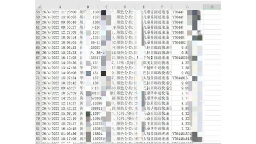 身份证查开房信息,身份证查开房信息，隐私保护与数据安全的挑战与应对