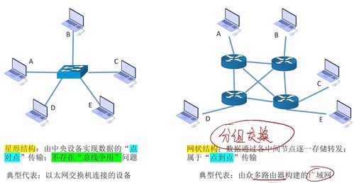 无网络分配电脑的概念解析与应用探讨